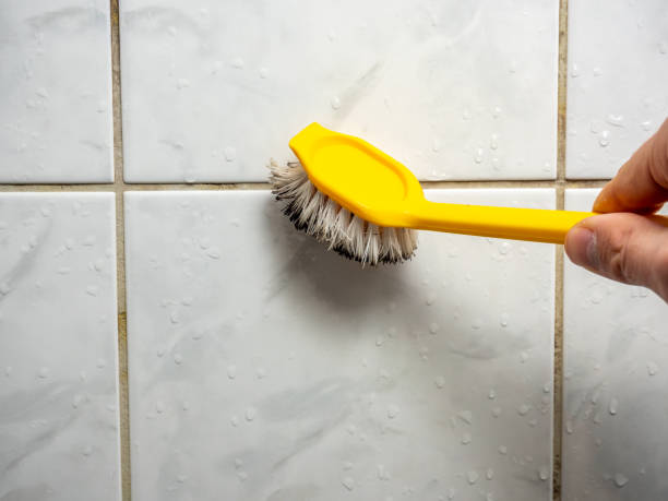 Best Affordable Mold Removal  in Livingston, TX