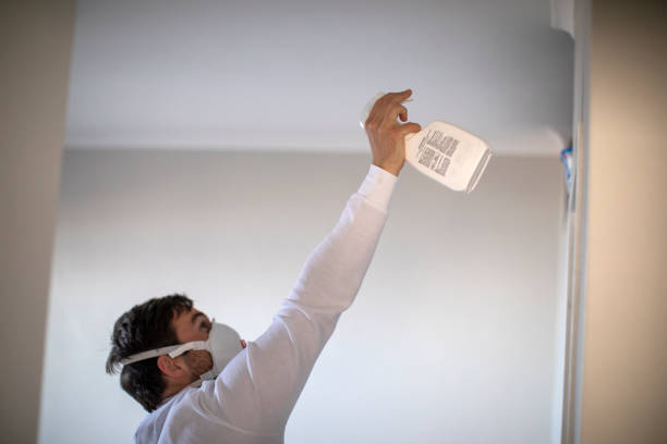 Best Black Mold Removal  in Livingston, TX