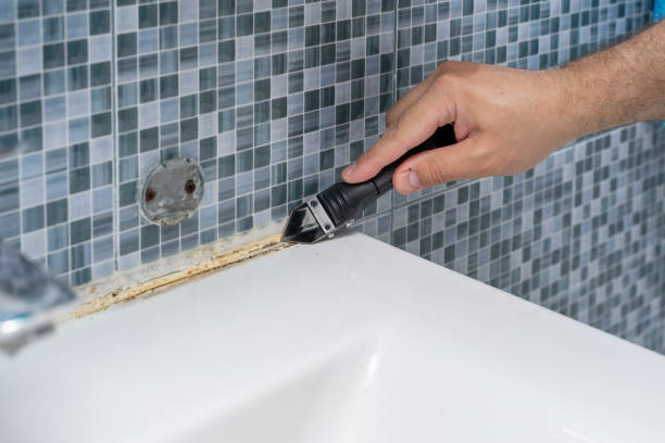 Best Attic Mold Removal  in Livingston, TX