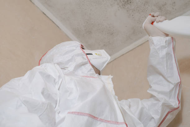 Best Mold Testing  in Livingston, TX