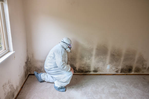 Best Professional Mold Removal  in Livingston, TX